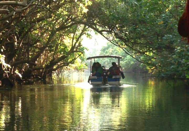 India-Unlikely-Holiday-A-tour-of-the-Kerala-backwaters-sml